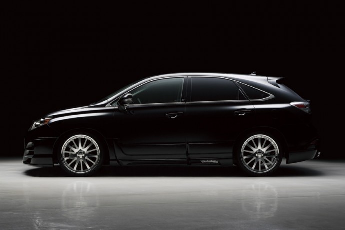 Накладки на двери "Wald Black Bison" для Lexus RX 350, RX 450 (AL10, 2009-2012) купить недорого с доставкой в Рыбинск