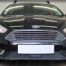 Защита радиатора "Standart" Ford Focus III рестайлинг (2014-2019) под датчик ACS+ASLD, чёрная купить недорого с доставкой в Рыбинск